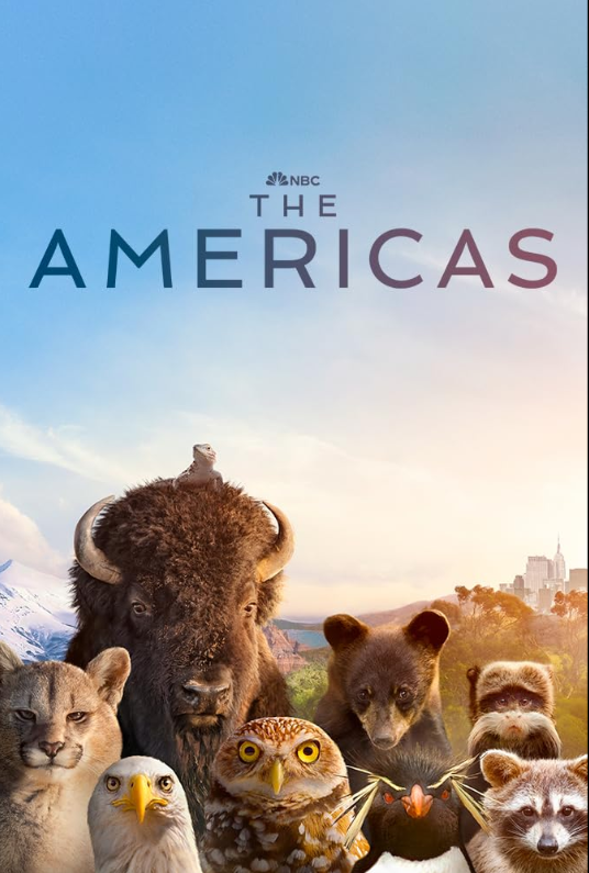 Америка