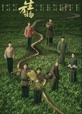 Процветающая земля